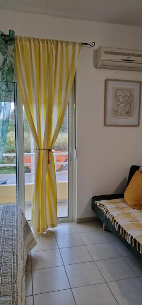 ECO SUNSHINE STUDIO